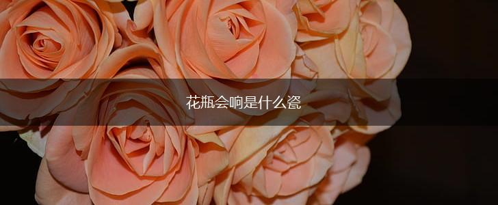 花瓶会响是什么瓷,第1张