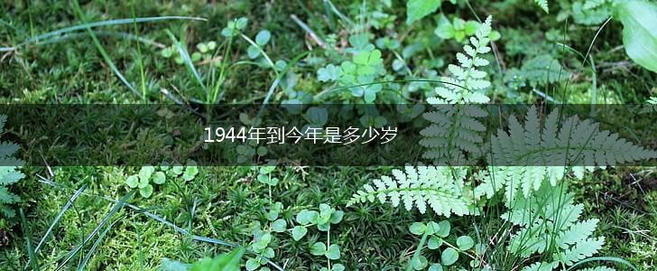 1944年到今年是多少岁,第1张