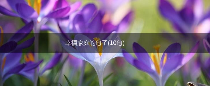幸福家庭的句子(10句),第1张