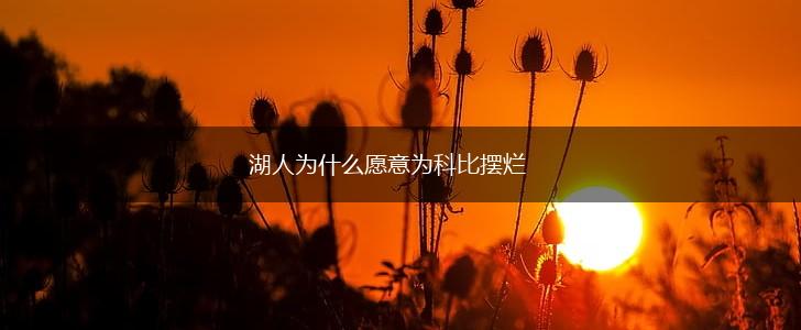 湖人为什么愿意为科比摆烂,第1张