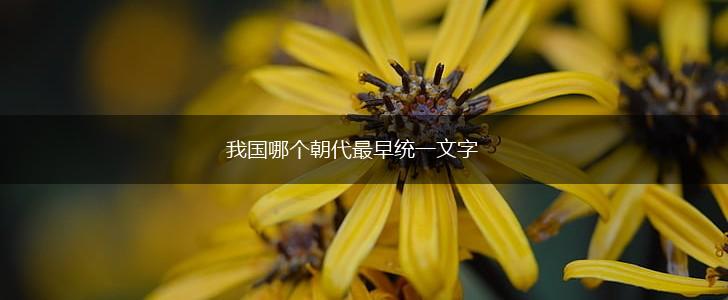 我国哪个朝代最早统一文字,第1张