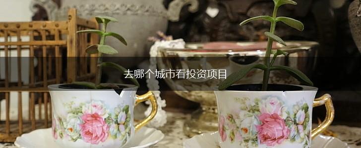 去哪个城市看投资项目,第1张