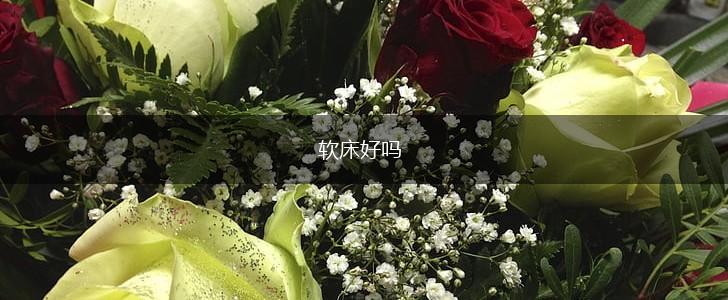 软床好吗,第1张