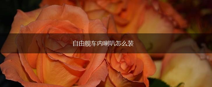 自由舰车内喇叭怎么装,第1张