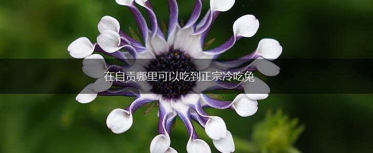 在自贡哪里可以吃到正宗冷吃兔,第1张