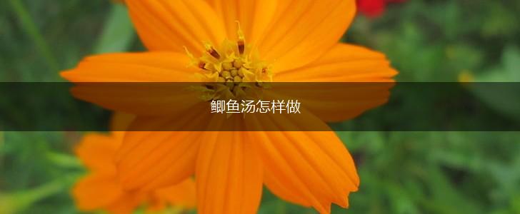 鲫鱼汤怎样做,第1张