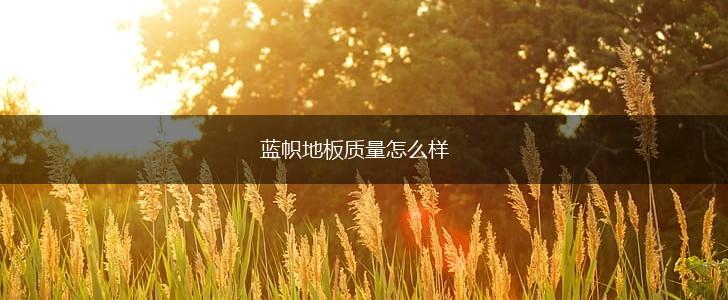 蓝帜地板质量怎么样,第1张
