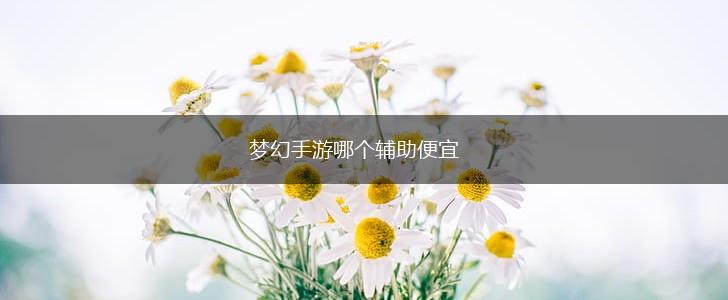 梦幻手游哪个辅助便宜,第1张