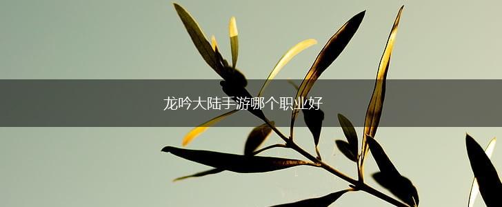 龙吟大陆手游哪个职业好,第1张