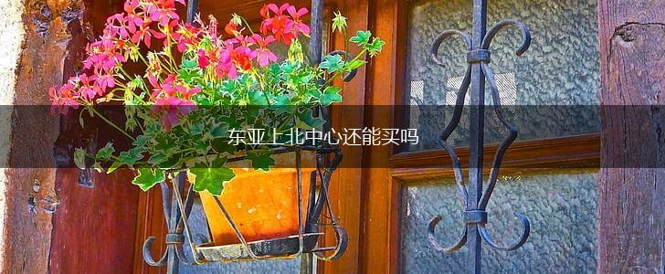 东亚上北中心还能买吗,第1张
