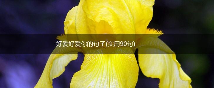 好爱好爱你的句子(实用90句),第1张