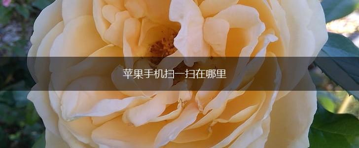 苹果手机扫一扫在哪里,第1张