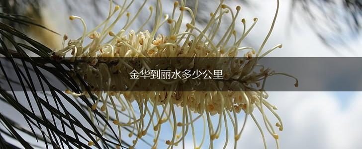 金华到丽水多少公里,第1张