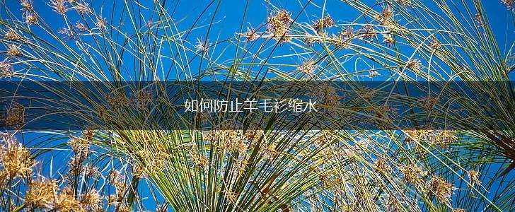 如何防止羊毛衫缩水,第1张