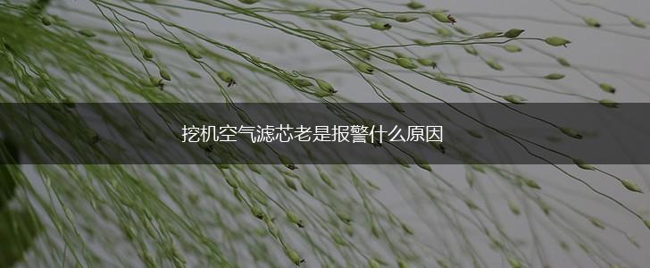 挖机空气滤芯老是报警什么原因,第1张