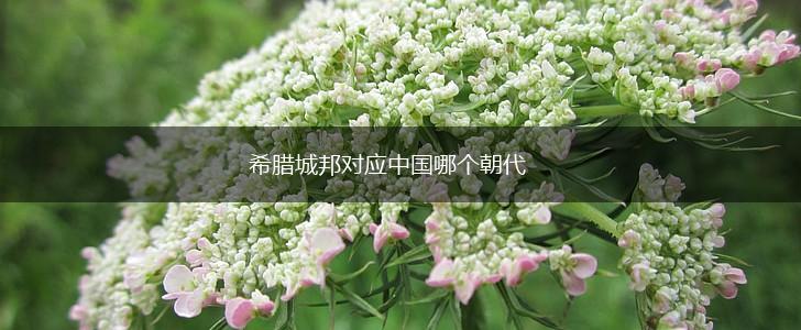 希腊城邦对应中国哪个朝代,第1张