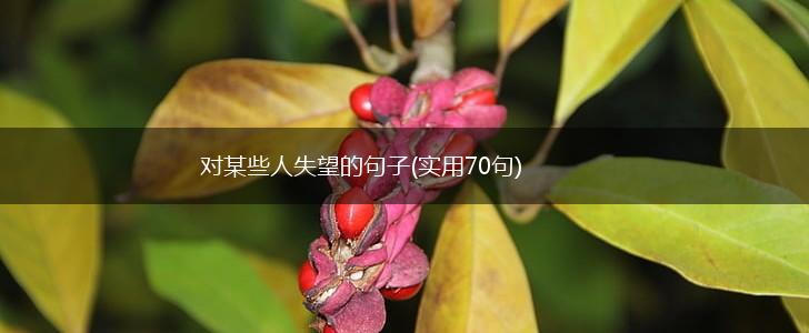 对某些人失望的句子(实用70句),第1张
