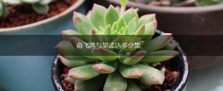 俞飞鸿与吴孟达多少集,第1张