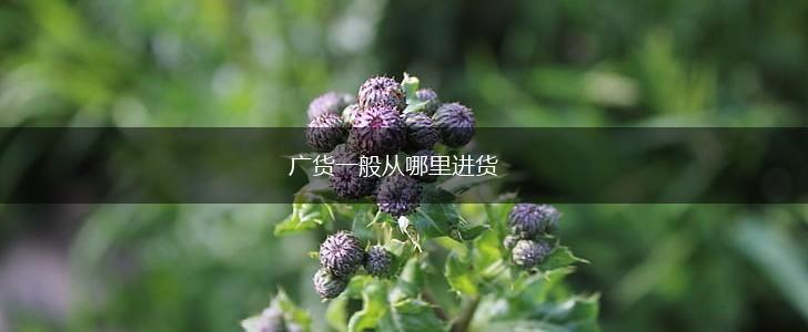 广货一般从哪里进货,第1张