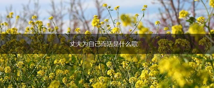 丈夫为自己而活是什么歌,第1张