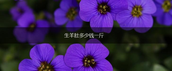 生羊肚多少钱一斤,第1张