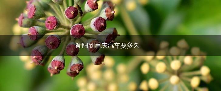 衡阳到重庆汽车要多久,第1张