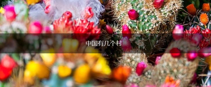 中国有几个村,第1张