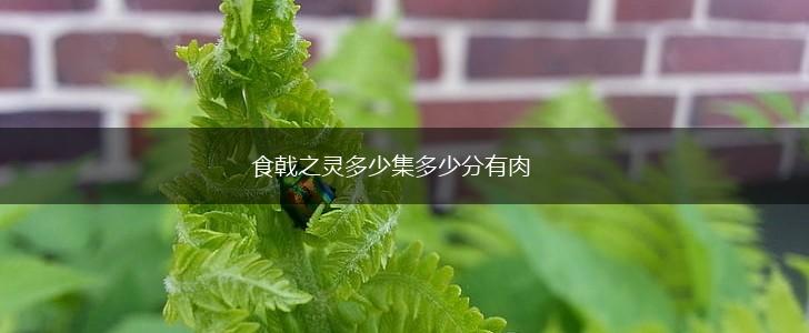 食戟之灵多少集多少分有肉,第1张