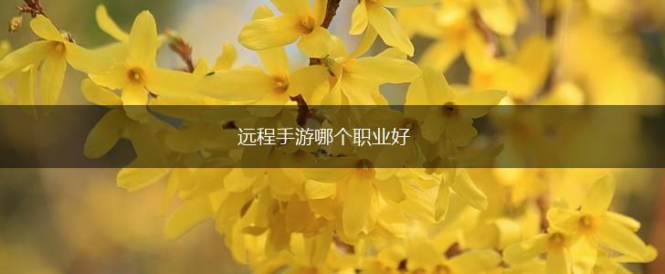 远程手游哪个职业好,第1张