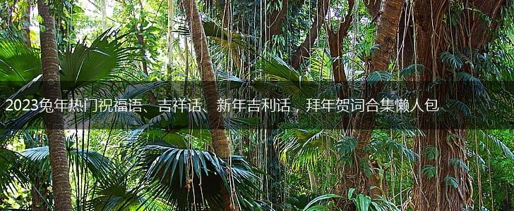 2023兔年热门祝福语、吉祥话、新年吉利话，拜年贺词合集懒人包,第1张