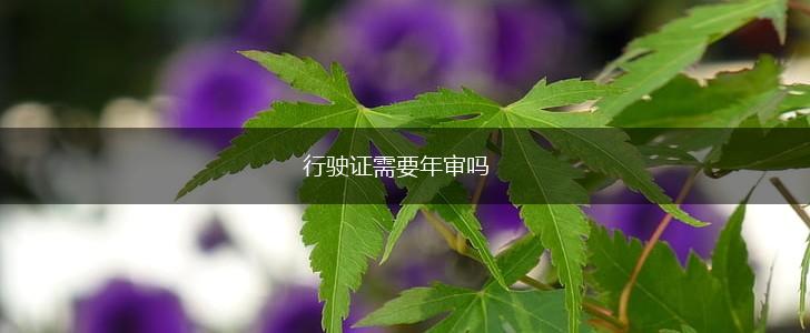 行驶证需要年审吗,第1张