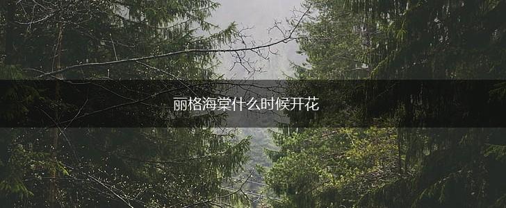 丽格海棠什么时候开花,第1张