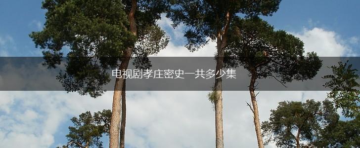电视剧孝庄密史一共多少集,第1张