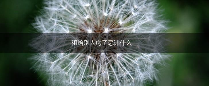 租给别人房子忌讳什么,第1张