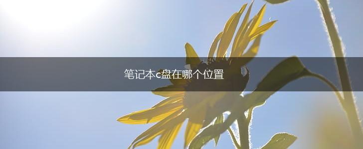 笔记本c盘在哪个位置,第1张