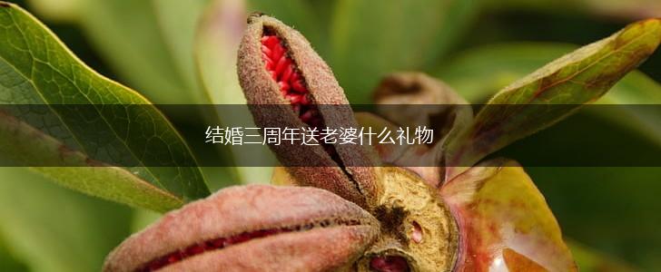 结婚三周年送老婆什么礼物,第1张