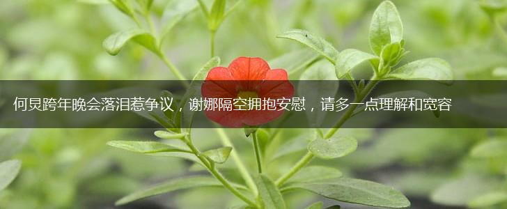 何炅跨年晚会落泪惹争议，谢娜隔空拥抱安慰，请多一点理解和宽容,第1张