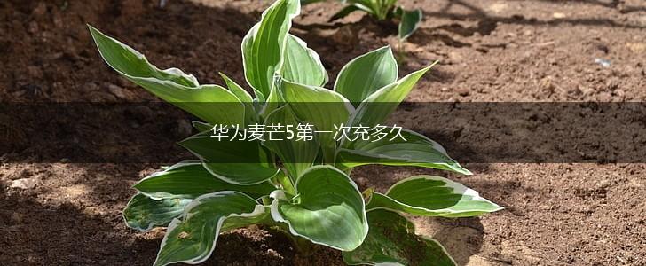 华为麦芒5第一次充多久,第1张