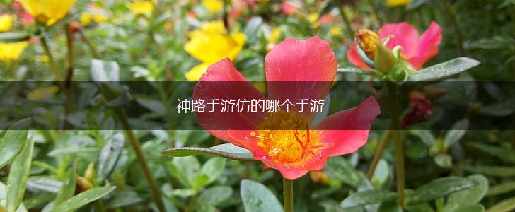 神路手游仿的哪个手游,第1张