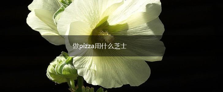 做pizza用什么芝士,第1张