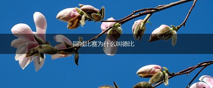 同城比赛为什么叫德比,第1张