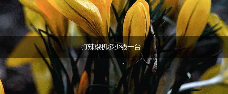 打辣椒机多少钱一台,第1张