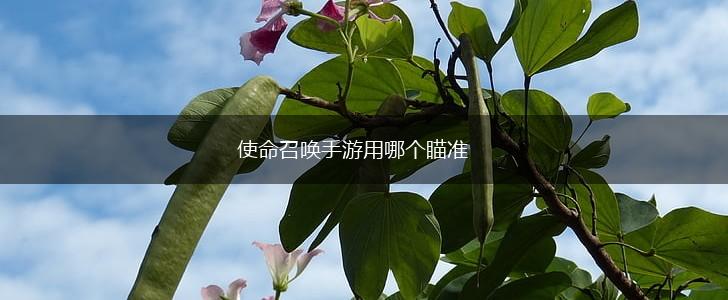 使命召唤手游用哪个瞄准,第1张