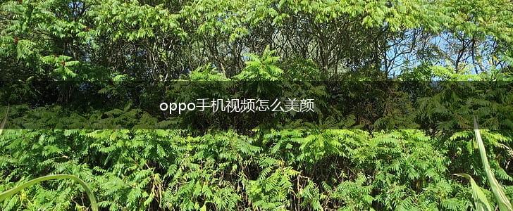 oppo手机视频怎么美颜,第1张