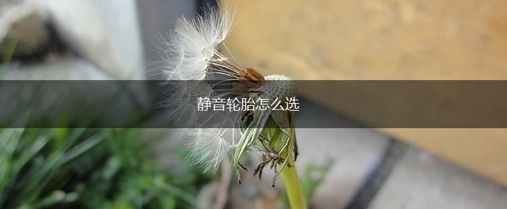 静音轮胎怎么选,第1张
