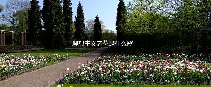 理想主义之花是什么歌,第1张