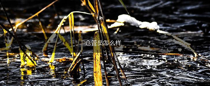 仓管员怎么样,第1张
