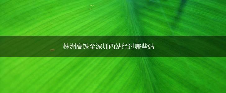 株洲高铁至深圳西站经过哪些站,第1张