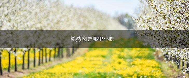 粉蒸肉是哪里小吃,第1张