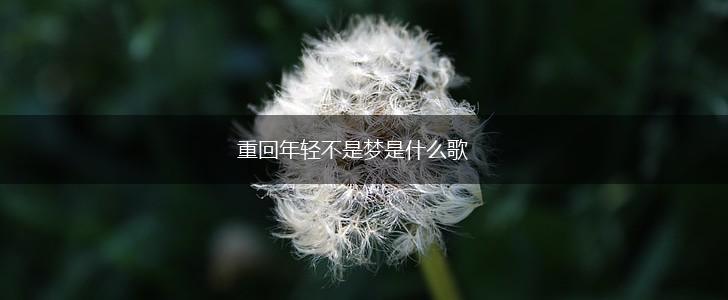 重回年轻不是梦是什么歌,第1张